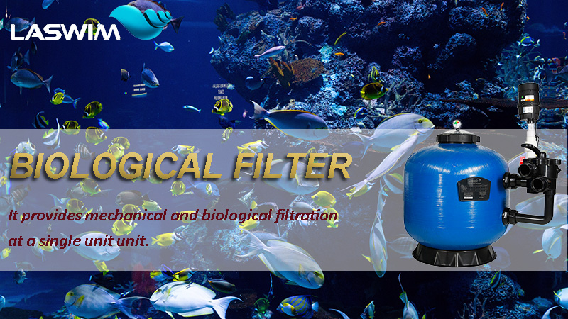 pexels-hung-tran-3699434